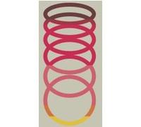 Fragments of a former Moon