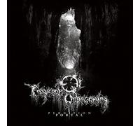 FRAGMENTS OF UNBECOMING - PERDITION PORTAL VINYL LP NEUF