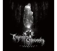 Fragments of Unbecoming – Perdition Portal – LP 12" Vinyle vert