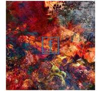 Frail Body - Artificial Bouquet [Compact Discs]