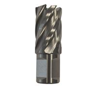 Fraise à carotter MW HQ L.50mm Weldon 17mm MW-Tech HQL5017