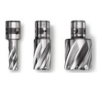 FEIN 63133119051, Fraise HSS Nova, 25, emmanchement QuickIN, Ø12x25 mm, en Acier, pour une coupe précise et efficace, Fraise à Haute Vitesse, Accessoire Outil de Coupe, pour tous types de supports