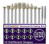 Fraises Diamantée 12 Pcs, 46 Grains Mèche Meulage Diamant pour Dremel, Accessoires Rotary Tool avec Tige de 3mm Pour le Verre, Les Pierres Précieuses, Pe Jade, Le Polissage des Détails, La Gravure