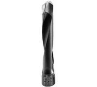 Fraises FESTOOL Domino D.14-NL70 HW-DF700 - 497871 Noir G
