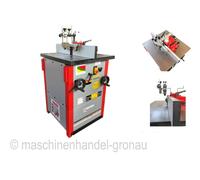 Fraiseuse À Table Holzmann Avec Broche Pivotante FS 200S 400V