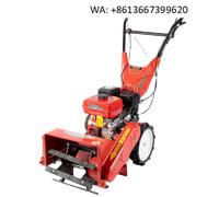 Fraiseuse de ligne Gaso, petite machine de micro-tillage, désherbeur de vergers agricoles, broyeur d'herbe 8