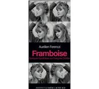 Framboise Quelques hypothèses sur Françoise Dorléac - Aurélien Ferenczi - Actes sud - broché - Biographie