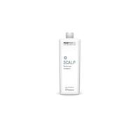 Framesi Framesi Shampooing Morphosis Destress