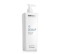 Framesi Morphosis Scalp Destress Shampoo 1000ml
