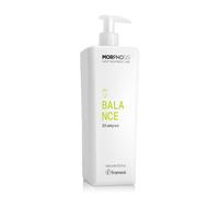 Framesi | New Morphosis Hair Treatment Line | Balance Shampoo 1000 ml