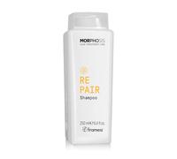 Framesi | New Morphosis Hair Treatment Line | Shampooing réparateur 250 ml