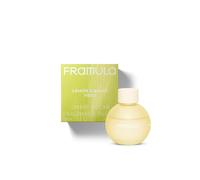 FRAMULA Sarter Set de désodorisants pour voiture, désodorisant électrique, parfum, diffuseur de parfum, diffuseur de parfum, recharge (voiture, recharge de citron)