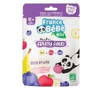 France Bébé Nutrition Mon P'tit Fruity Pandi Gout Banane, Pomme et Myrtille