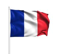 France DRAPEAU 45X30cm avec Hampe