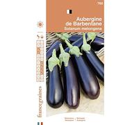 France Graines - Aubergine de Barbentane