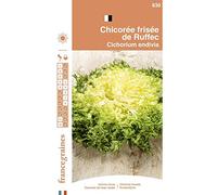 France Graines - Chicorée Frisée de Ruffec