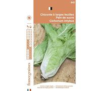 France Graines - Chicorée Pain de Sucre