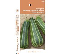 France Graines - Courgette non Coureuse