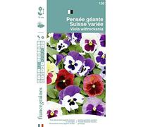 France Graines - Pensée Géante Suisse variée