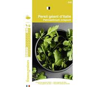 France Graines - Persil Géant Italie