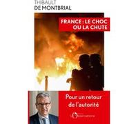 France : le choc ou la chute Thibault de Montbrial (Auteur)