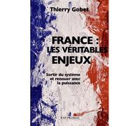 France, les véritables enjeux Sortir du système et renouer avec la puissance - Thierry Gobet - Picollec - broché - Essai