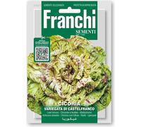 Franchi Sementi Chicorée à Feuilles "Variegato di Castelfranco" - 1 pcs