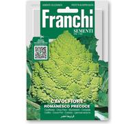 Franchi Sementi Chou-fleur "Romanesco Precoce" - 1 pcs