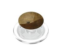 Francisco Goya Peinture Fine Art Animal Animal Pet PopSockets PopGrip pour MagSafe