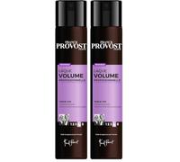 FRANCK PROVOST - Laque Volume Professionnelle - Tenue 72h - Volume Instantané - Fini Naturel Non Gras, Non Collant Et Sans Résidu - S'élimine Facilement Au Brossage - 300ml (Lot de 2)