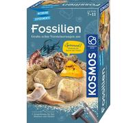 Kosmos 657918 Kit d'excavation de fossiles pour Creuser de véritables pétrifications et Ambre, avec Marteau et Burin, kit d'expérimentation pour Enfants à partir de 7 Ans