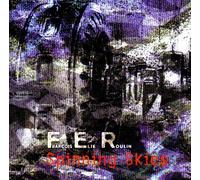 Francois Elie Roulin - Spinning Skies