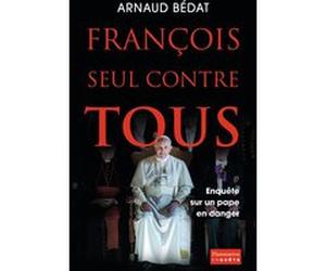 François, seul contre tous Arnaud Bédat (Auteur)
