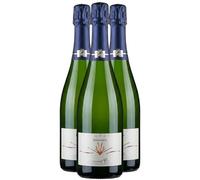 Françoise Bedel Champagne Jouvence Brut - Blanc 2013 (3x75cl)