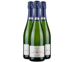 Françoise Bedel Champagne Jouvence Brut - Blanc 2013 (3x75cl)