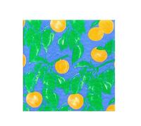 FRANCOISE PAVIOT - Lot de 20 Serviette de Table Intissé 40 X 40 cm Abricot