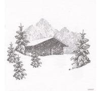 FRANCOISE PAVIOT - Lot de 20 Serviettes DE Table INTISSE 40 X 40 CM Refuge