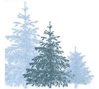 FRANCOISE PAVIOT - Lot de 20 Serviettes DE Table INTISSE 40 X 40 CM WALD Argent