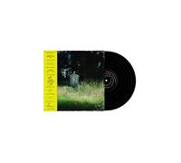 Frank carter & the rattlesnakes - Dark rainbow