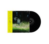 Frank carter & the rattlesnakes - Dark rainbow