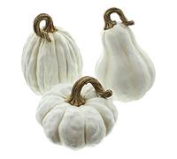 FRANK FLECHTWAREN Citrouille blanche, lot de 3, belle décoration d'automne, originale et moderne