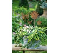 FRANK FLECHTWAREN Décoration de jardin, papillon, fiche de jardin, fiche décorative, fiche fleur & papillon, en set de 4 H:34cm, H:36cm, H:52cm, H:55CM env