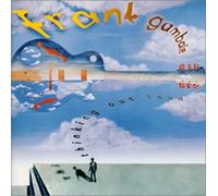 Frank Gambale - Thinking Out Loud [Import]