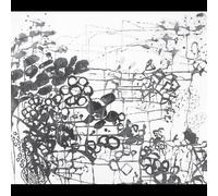 Frank London - Brass Conspiracy [Compact Discs]