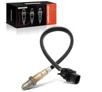 Frankberg 1x Capteur d'Oxygène Sonde Lambda 6-Pôles Compatible avec Doblo MPV 119 223 1.9L 2005-2005 Doblo Camionnette/MPV 223 1.9L 2005-2010 Remplacer# 55260358