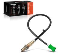 Frankberg 1x Capteur d'Oxygène Sonde Lambda Avant 4-Pôles Compatible avec C2 JM 1.1L 2003-2012 C3 I FC FN 1.1L 2002-2013 C4 LA 1.4L 2004-2011 C5 I DC 2.0L 2001-2004 Remplacer# K914567318A
