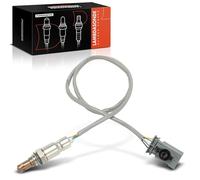 Frankberg 1x Capteur d'Oxygène Sonde Lambda Compatible avec Ducato Bus 250 2015-2024 Ducato Camionnette 250 2011-2024 Ducato Remorque 250 2006-2024 Remplacer# 55272037