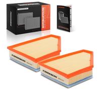 Frankberg 2x Filtres à Air de Voiture Compatibles avec Série 3 E90 316 318 320 325 330 335 Série 3 Cabriolet E93 320 325 330 Série 3 Coupé E92 320 325 330 335 D3 E90 D3 Coupé Remplacer# 13717797465