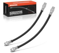 Frankberg 2x Flexible de Frein Arrière 248mm Compatible avec Berlingo/Berlingo First MPV GFK GJK MF 1996-201 Partner Combispace 5 G 1999-2015 Remplacer# 4806E3