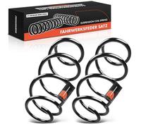 Frankberg 2x Ressort de suspension Compatible avec Classe C T-modèle S204 Classe C W204 Remplacer# RH3928